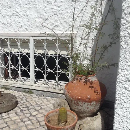 Country house Casa Dos Cedros *